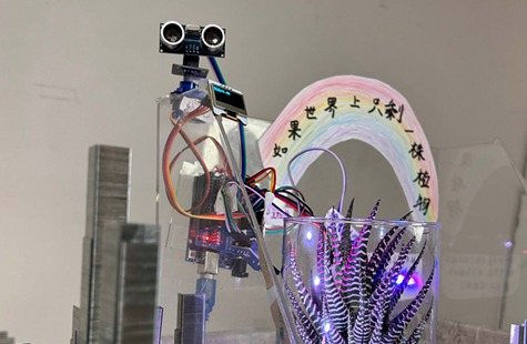 （铜奖）如果世界上只剩一株植物